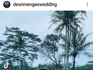 Viral Bikin Heboh, Pengantin Naik Kereta Kuda Melintasi Persawahan Magelang