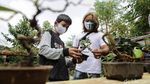 Warga Kampung Bali Berkreasi Positif lewat Tanaman Bonsai