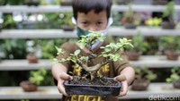 Kegiatan ini bukanlah sekedar bisnis tetapi juga perjuangan untuk terus mengajak para generasi muda berkreasi dan melakukan hal positif di lingkungannya.  