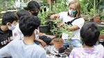 Warga Kampung Bali Berkreasi Positif lewat Tanaman Bonsai