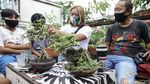 Warga Kampung Bali Berkreasi Positif lewat Tanaman Bonsai