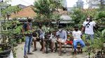 Warga Kampung Bali Berkreasi Positif lewat Tanaman Bonsai