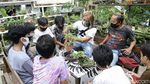 Warga Kampung Bali Berkreasi Positif lewat Tanaman Bonsai