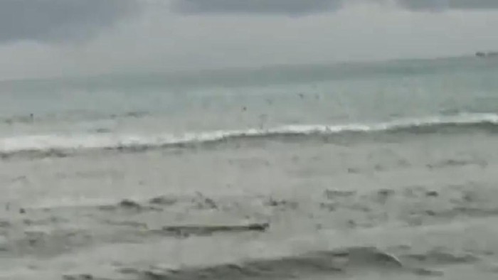 Buaya Muncul di Pantai Tiku Agam (Foto Diperoleh dari BKSDA)