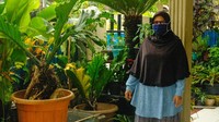 Tanaman hias berjejer di depan rumah warga Gang Hijau. (Foto: Andhika Prasetia/detikcom)