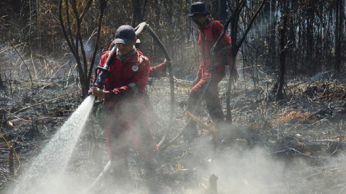 Kebakaran di Cagar Biosfer Giam Siak Kecil