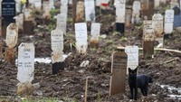 Kepala Dinas Pertamanan dan Hutan Kota DKI Jakarta Suzi Marsitawati mengatakan 800 petak makam untuk jenazah COVID-19 di TPU Bambu Apus sudah terpakai per tanggal 11 Februari. 
