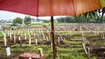 Lahan Makam COVID-19 di TPU Bambu Apus Sudah Penuh