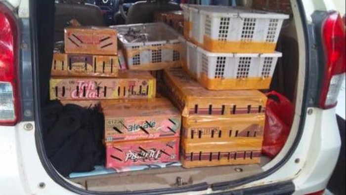 Penangkapan penyelundupan ribuang ekor burung di Lampung (dok. Gakkum KLHK)