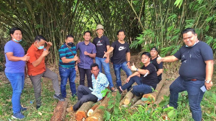 Pencurian pohon jati di Palembang
