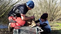 Para spesialis memantau kesehatan berang-berang liar. (Devon Wildlife Trust)