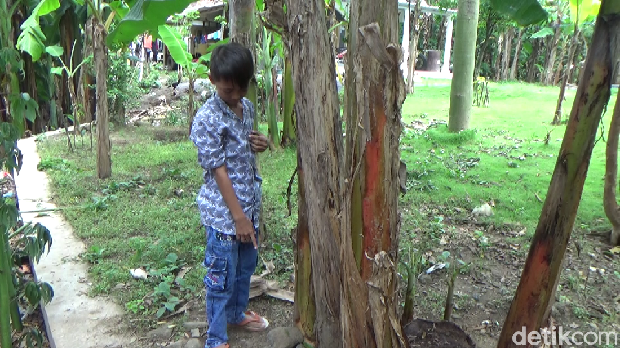benda pusaka