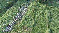 Mobil-mobil bekas bencana radioaktif di Fukushima yang dimakan oleh alam.