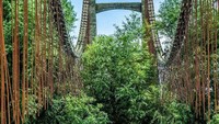 Jembatan yang terbengkalai di New Zealand.