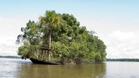 Pecahan kapal yang diambil alih alam dan berubah jadi pulau kecil.