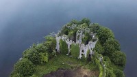 Kastil yang terbengkalai di Irlandia dan dikuasai oleh tanaman rambat. 