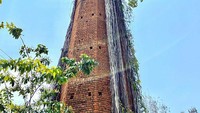 Pohon tumbuh dari dalam cerobong asap besar yang terbengkalai.