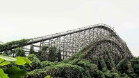 Jalur roller coaster yang diselimuti tumbuhan rambat. 