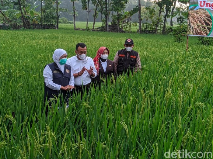 Belum ada pengetatan di Jatim terkait ditemukannya Corona B117 di Karawang, Jawa Barat. Pemprov Jatim masih melakukan tracing serta kuratif.