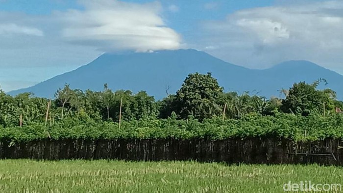 Erupsi Gunung Raung terus mengalami penurunan dalam dua pekan terakhir. Kolom asap masih fluktuatif antara 300 hingga 1.200 meter.