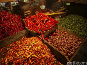 Jelang Ramadhan, Kementan Pastikan Harga Cabai Segera Stabil