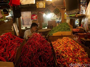 Pengamat Pangan IPB Sebut Fluktuasi Harga Cabai Siklus Musiman