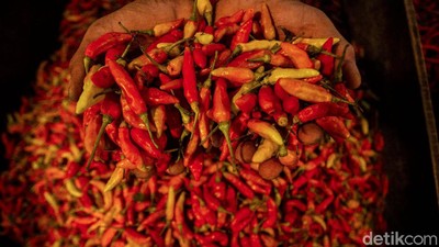 Harga Cabai Rawit di Ibu Kota Pedas Menggigit