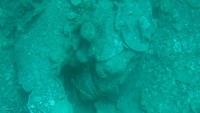 Di bawah laut Selayar juga sempat ditemukan keramik dan koin. Piring yang ditemukan umumnya berwarna hijau celladon, motif hias umumnya adalah daun dengan teknik gores.