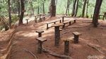Foto: Hutan Pinus Lenong, Rekomendasi Tempat Bersantai di Mamasa