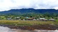 Hutan pinus Lenong dijamin mampu membuat para pecinta keindahan alam berlama-lama menghabiskan waktu di tempat ini.