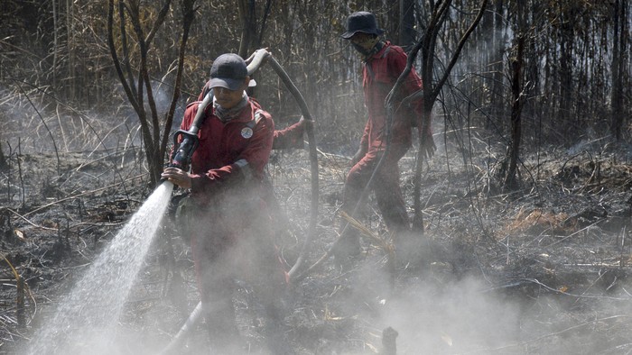 Petugas Balai Besar Konservasi Sumber Daya Alam (BBKSDA) Riau memadamkan kebakaran di kawasan Suaka Margasatwa Giam Siak Kecil, Kabupaten Bengkalis, Provinsi Riau, Selasa (2/3/2021). BBKSDA Riau memperkirakan luas kebakaran sudah mencapai 100 hektare yang diduga dipicu oleh cuaca kemarau dan aktivitas perambahan. ANTARA/BBKSDA Riau/Lmo/hp.