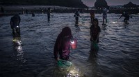 Bau Nyale merupakan tradisi turun temurun masyarakat Sasak yang rutin dilakukan tiap tahun di kawasan Lombok, Nusa Tenggara Barat.