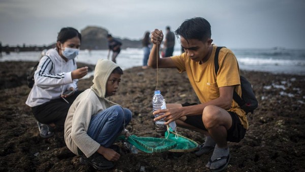 Nyale diketahui merupakan sebutan bagi orang Lombok untuk cacing laut warna-warni yang diyakini sebagai jelmaan Putri Mandalika. Nyale diketahui merupakan sebutan bagi orang Lombok untuk cacing laut warna-warni yang diyakini sebagai jelmaan Putri Mandalika.