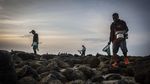 Mengenal Bau Nyale, Tradisi Berburu Cacing di Pantai Lombok
