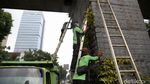 Perawatan Taman Vertikal Percantik Jalan