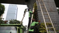 Kawat-kawat penyangga yang rusak juga diganti.