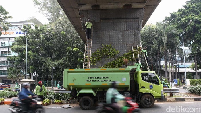 Perawatan Taman Vertikal Percantik Jalan Taman vertikal (vertical garden) di Kolong Rel Kereta Jalan Kebon Sirih, Jakarta Pusat, terus dirawat. Perawatan berkala taman vertikal ini guna mempercantik jalan.