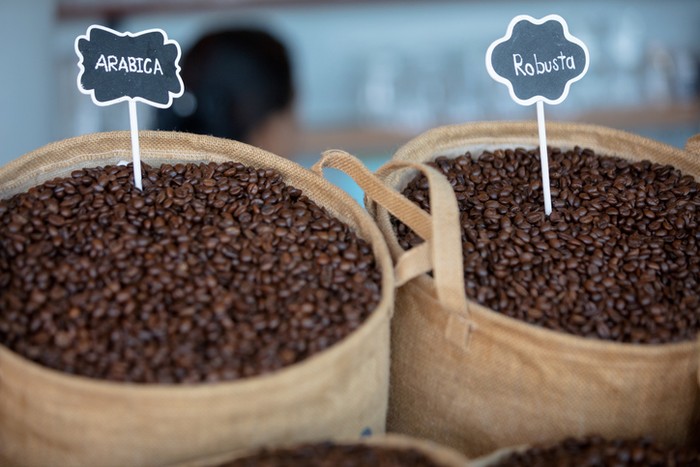 perbedaan kopi arabika dan robusta Kamu perlu tahu perbedaan kopi arabika dan robusta. Perbedaan tersebut bisa dilihat dari 7 karakteristik berikut.