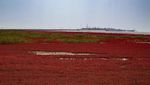 Foto: Pantai Semerah Darah yang Sungguh Ada