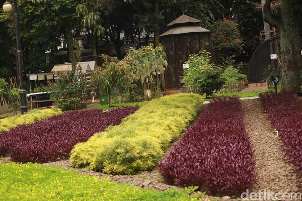 Meski demikian, Taman Balai Kota Bandung ini tetaplah tertata dan bersih. Perawatannya terlihat dari banyaknya tanaman yang terlihat segar dan tak ada rumput liar. Meski demikian, Taman Balai Kota Bandung ini tetaplah tertata dan bersih. Perawatannya terlihat dari banyaknya tanaman yang terlihat segar dan tak ada rumput liar.