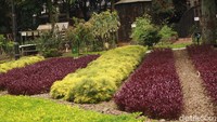 Meski demikian, Taman Balai Kota Bandung ini tetaplah tertata dan bersih. Perawatannya terlihat dari banyaknya tanaman yang terlihat segar dan tak ada rumput liar.
