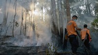 Tim pemadam kebakaran gabungan kesulitan memadamkan kebakaran di hutan lindung Chevron karena tidak ada sumber air di lokasi dan akses jalan sangat minim menuju titik api yang lokasinya tersebar. ANTARA FOTO/FB Anggoro.