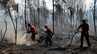 Petugas Balai Besar Konservasi Sumber Daya Alam (BBKSDA) Riau memadamkan kebakaran di kawasan Suaka Margasatwa Giam Siak Kecil, Kabupaten Bengkalis, Provinsi Riau, Selasa (2/3/2021). BBKSDA Riau memperkirakan luas kebakaran sudah mencapai 100 hektare yang diduga dipicu oleh cuaca kemarau dan aktivitas perambahan. ANTARA/BBKSDA Riau.