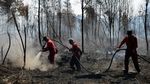 Titik Panas yang Sebabkan Kebakaran Hutan di Sumatera Bertambah