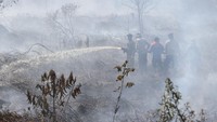Kebakaran hutan juga terjadi di lahan gambut kawasan perbatasan Kabupaten Aceh Barat dan Kabupaten Nagan Raya, Aceh, Selasa (2/3/2021). ANTARA FOTO/Syifa Yulinnas.