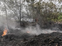 Hotspot di Sumsel Turun, Satgas Tetap Waspada Kebakaran Hutan dan Lahan