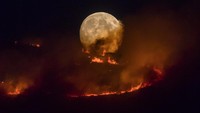 Bulan purnama muncul di belakang kobaran api yang menyapu padang rumput di Stalybridge, Inggris. Getty Images/Anthony Devlin