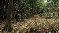 Hutan Kota Sangga Buana juga tampak asri dan natural. Foto: Andhika Prasetia/detikcom