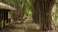 Sepanjang hutan kota ini, terdapat banyak pohon bambu. Secara ekologi, bambu mempunyai fungsi seperti meningkatkan volume air bawah tanah, konservasi lahan, perbaikan lingkungan dan sifat-sifat bambu sebagai bahan bangunan tahanan gempa, khususnya wilayah rawan gempa. (Foto: Andhika Prasetia/detikcom)