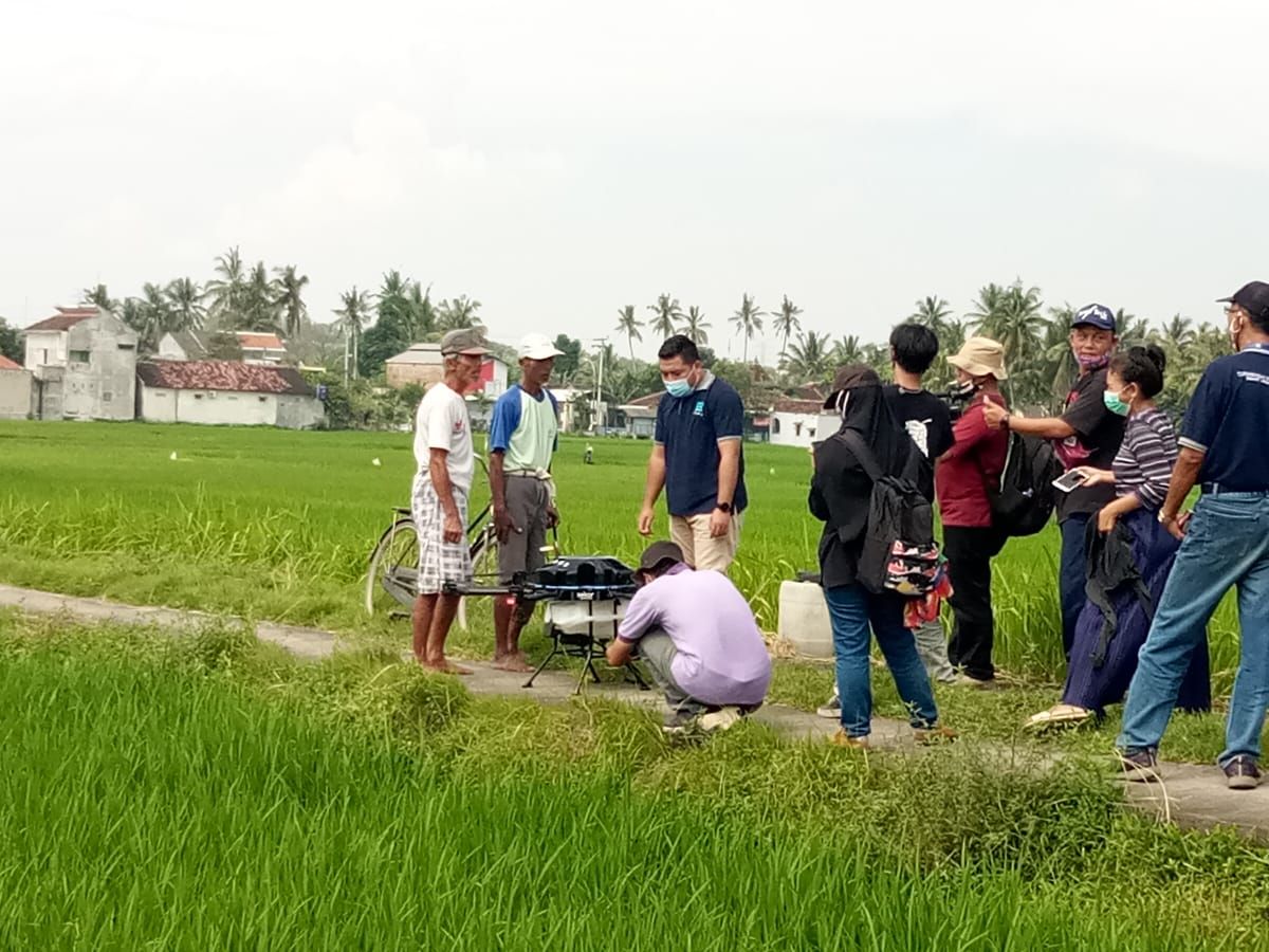 drone petani